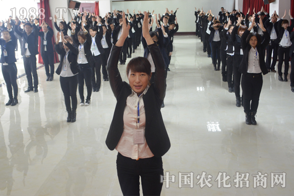 營造團(tuán)隊精神 攜手展望未來