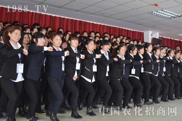 ÿһ(g)(x)(ji)(x)(ji)Qɔ