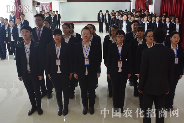 團隊:個人求發(fā)展,團隊求未來