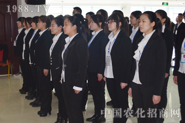 火爆的發(fā)展靠團隊