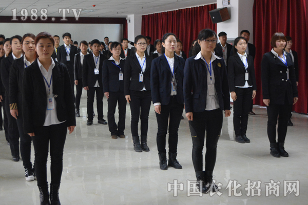 火爆的發(fā)展靠團隊