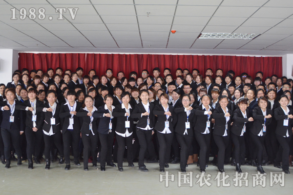 團(tuán)結(jié)——成功的關(guān)鍵