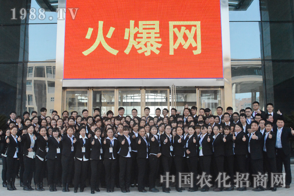 團(tuán)隊精神:不可缺少的協(xié)作