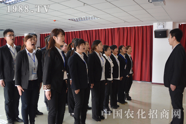 員工抱成團 公司才能“無懈可擊”