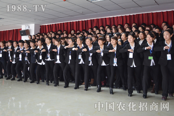 那些年 團(tuán)隊教給我的