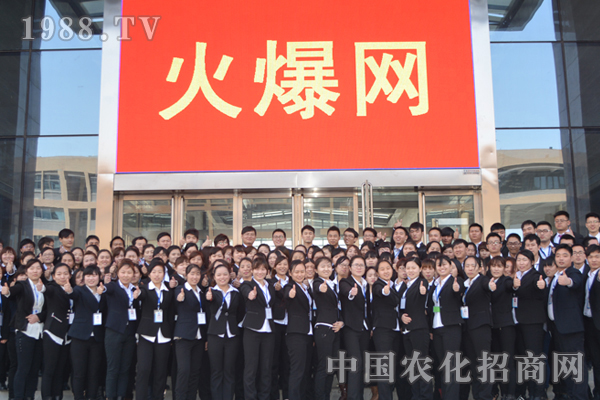 團結(jié)就是力量